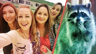 Fui Atacada por Quatis! 🐺😲 Viajando pra Foz do Iguaçu