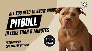 Discover the PITBULL: Unveiling the Breed's History & Unique Characteristics