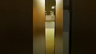 Backrooms - Elevator (found footage)
