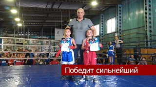 В Кропоткине проходит открытое первенство по боксу, посвященное памяти тренера  Геннадия Кучеренко.