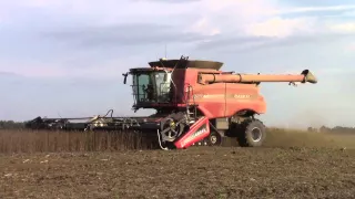 Case IH 9230 Axial-Flow On Tracks Harvesting Soybeans