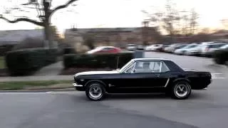 Mustang 1965 V8 289 in action