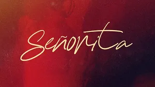 Камила Кабельо : Señorita - Сеньорита (перевод + клип)