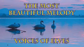 The Most Beautiful Melody, inspiring bright thoughts! Voices of Elves