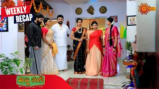 Anna Thangi  | Ep 281 - 286 | Weekly Recap | Udaya TV | Kananda Serial