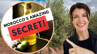 AMAZING Discovery! We Stopped at a Moroccan OLIVE OIL Press!