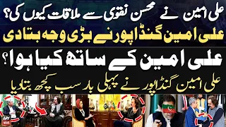 Why did Ali Amin Gandapur meet Mohsin Naqvi? - Ali Amin Told Everything