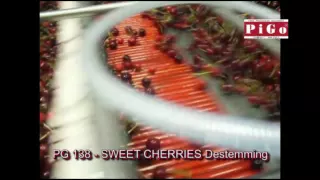 PG 138   SWEET CHERRIES Destemming small