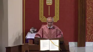 Fourth Sunday of Lent (Year B) - Fr. Hahn