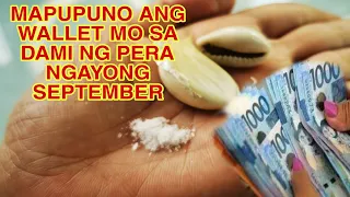 MAPUPUNO ANG WALLET MO SA DAMI NG PERA NGAYONG SEPTEMBER-APPLE PAGUIO7