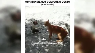 Quando mexem com quem eu gosto(Canal Belmiro memes)