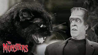 Best Of The Munsters Pets | Compilation | The Munsters