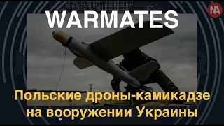 Warmates: Польские дроны-камикадзе идут к ВСУ