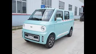 2023 NEW ChengShi Matrix 01  Electric Van