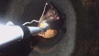 Rescue Team Saves Kitten Stuck In 25-Foot Drain Pipe