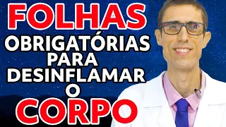 3 MELHORES folhas para DESINFLAMAR o seu corpo - Dr. Charles Genehr