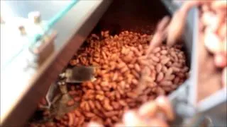 Dry Nut Mini Roaster.