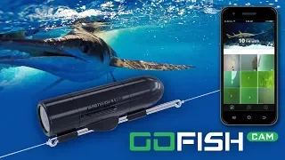 GoFish Cam HD Fishing Action Camera - Capture footage in 1080p - 60fps