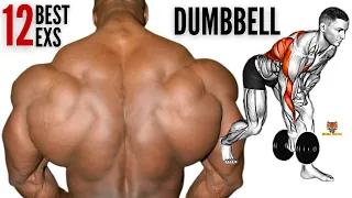 12 BEST BACK EXERCISES  WITH DUMBBELLS ONLY TO GET BIGGER BACK FAST