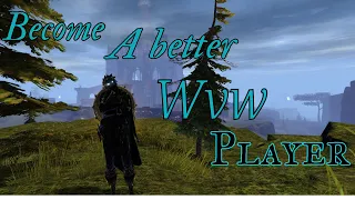 GW2-Why you should start roaming