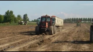 Fiatari 180-90 + vasca |pomodori 2016|🚜