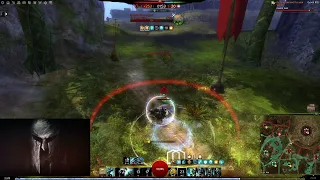 Gw2 WvW Guardian Dragonhunter Robin Hood oneshots