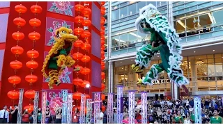 Acrobatic Double Lion Dance (舞獅 Múa Lân) by Khuan Loke 群乐龙狮团 @ Suria KLCC Malaysia (CNY2017) 4K UHD