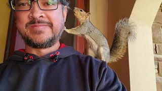 The Story of Peaches the Squirrel