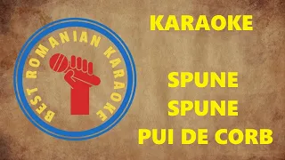 KARAOKE: Spune pui de corb Argesele-n satul meu Versuri Negativ (Do)