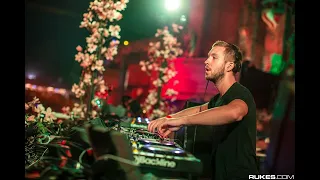 Calvin Harris Live at TomorrowWorld 2013