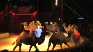 Royal - der grosse Schweizer Traditions-Circus