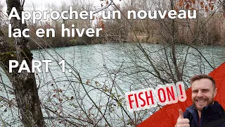 Pêche de la carpe en hiver depuis le bord : méthode pour approcher un nouveau lac - Partie 1