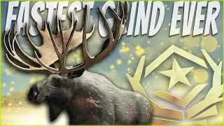 I Got A Great One Moose In RECORD TIME! Call of the wild