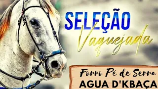 As melhores da Vaquejada- Forró Pé de Serra Agua D'kbaça
