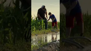 Irrigating Corn Field