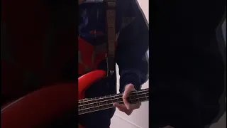 💫Cure for me bass cover💫