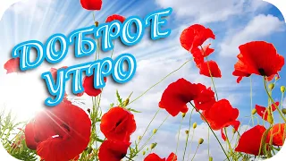 Доброе утро...  ❤️  Всем  кто проснулся!!!  ❤️ КРАСИВОЕ ПОЖЕЛАНИЕ! ❤️ Good morning!❤️