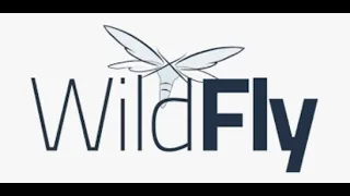 how to install wildfly  server on windows 11