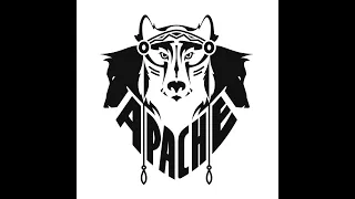Highlights боев APACHE | Кубок золотого льва, Могилев 19-22 января 2023