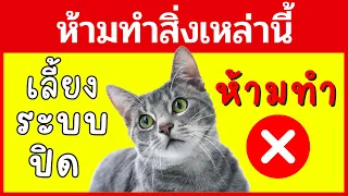 15 ข้อผิดพลาดของการเลี้ยงแมวระบบปิด I เลี้ยงแมวระบบปิดอย่าทำสิ่งนี้ !