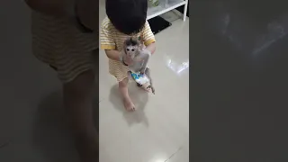 bayi dan anak monyet