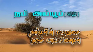 நபி அய்யூப் (அலை) அவர்களின் பொறுமை தரும் படிப்பினைகள்