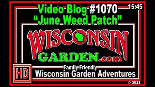 June Weed Patch - Wisconsin Garden Video Blog 1070