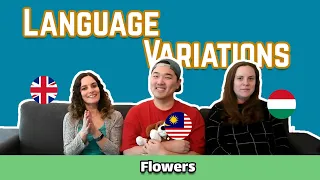 Language Variations: Flowers in English, Hungarian and Malay