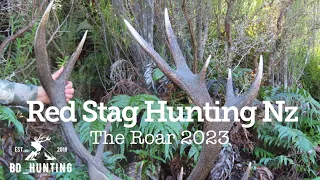 Red Stag Hunting NZ - The Roar 2023 *Two Monster 14s*