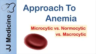 Anemia | Microcytic vs. Normocytic vs. Macrocytic