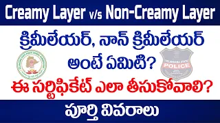 How to apply for Creamy Layer non-creamy layer certificate for BC Candidates in Telangana? in telugu