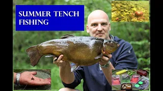 Summer tench fishing