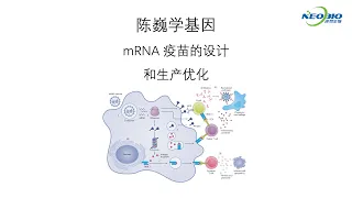 【陈巍学基因】mRNA 疫苗的设计和生产优化