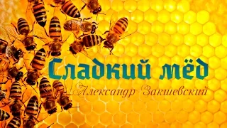 Сладкий мёд - Александр Закшевский (2019)